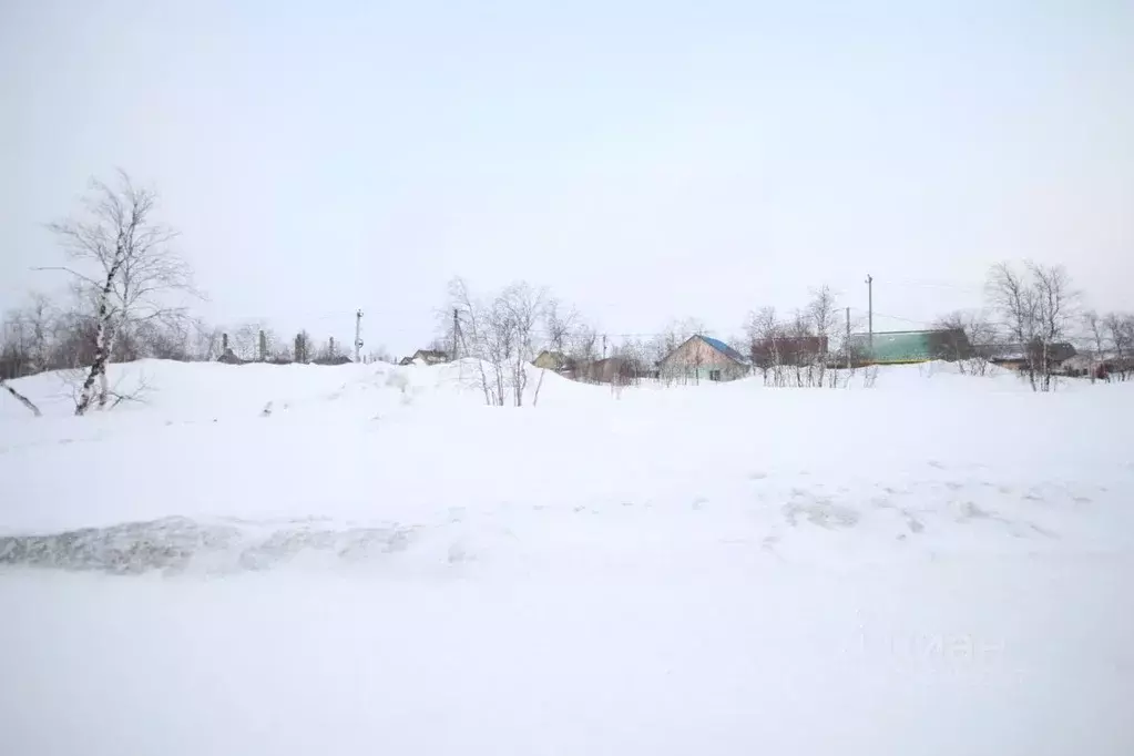 Участок в Ямало-Ненецкий АО, Новый Уренгой Лира ДНТ,  (6.14 сот.) - Фото 1