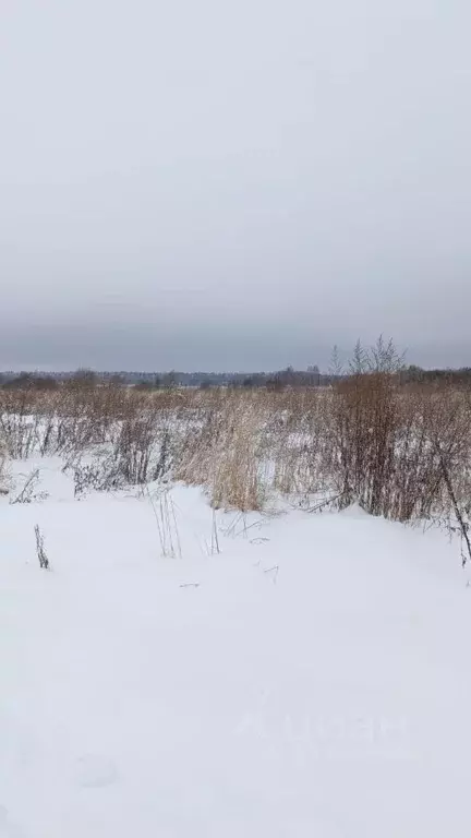 Участок в Московская область, Талдомский городской округ, д. Костино 1 ... - Фото 0