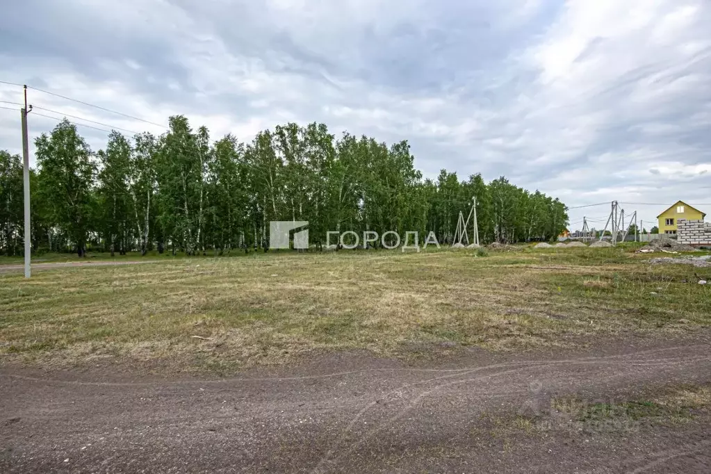 Участок в Новосибирская область, Новосибирский район, Криводановский ... - Фото 0
