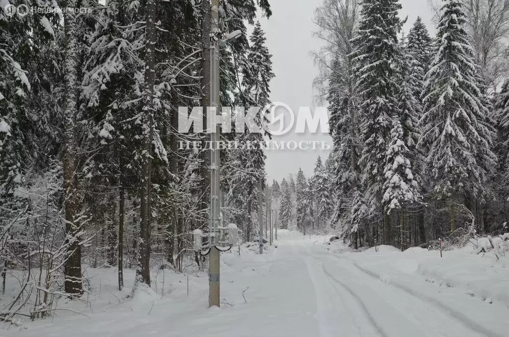 Участок в Московская область, Дмитровский муниципальный округ, деревня ... - Фото 1