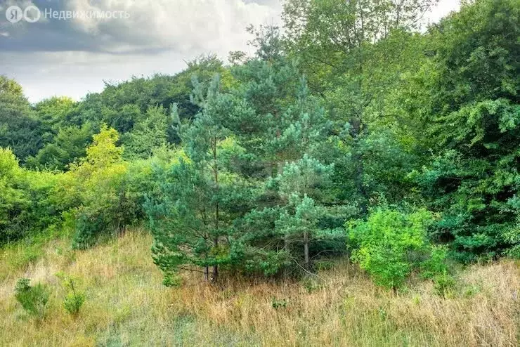 Участок в Челябинская область, Аргаяшский муниципальный округ, деревня ... - Фото 2