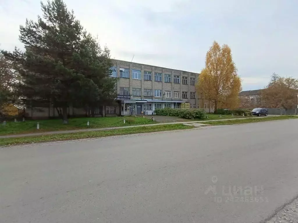 Помещение свободного назначения в Кировская область, Санчурск пгт ул. ... - Фото 1