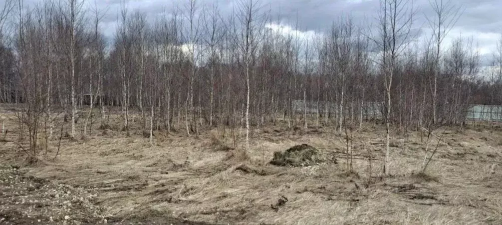 Участок в Московская область, Егорьевск муниципальный округ, с. ... - Фото 1
