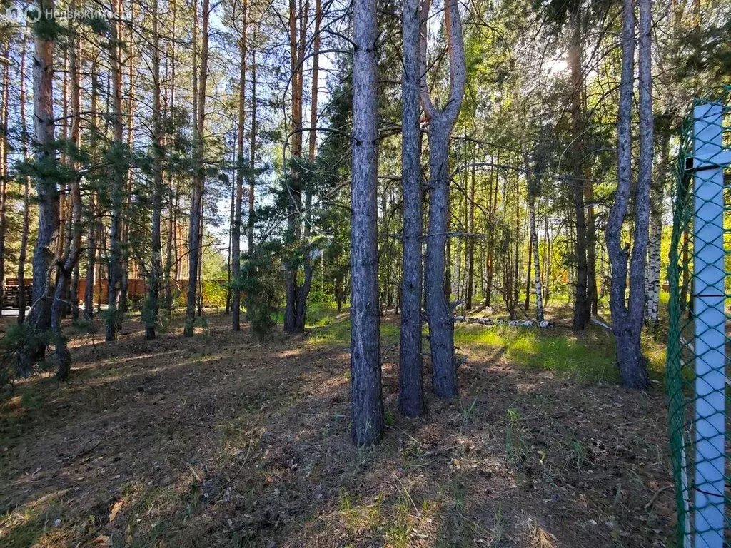 Участок в Бессоновский район, 58Н-45 (15 м) - Фото 0