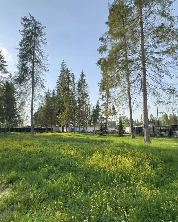 Участок в Московская область, Клин городской округ, Ели Эстейт ... - Фото 2
