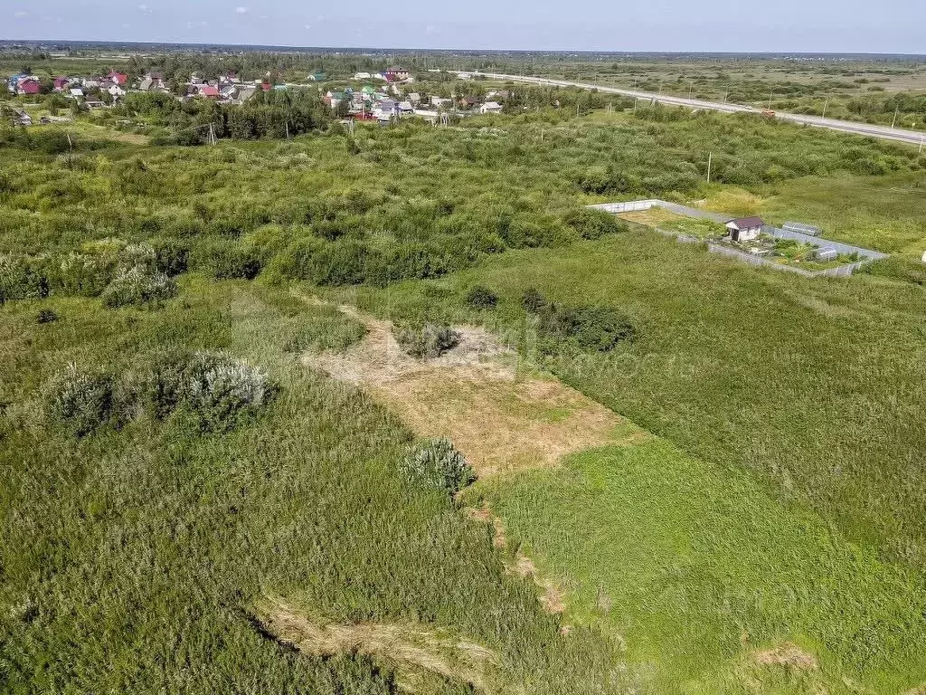 Участок в Тюменская область, Тюмень Рябинка-2 садовое товарищество,  ... - Фото 1