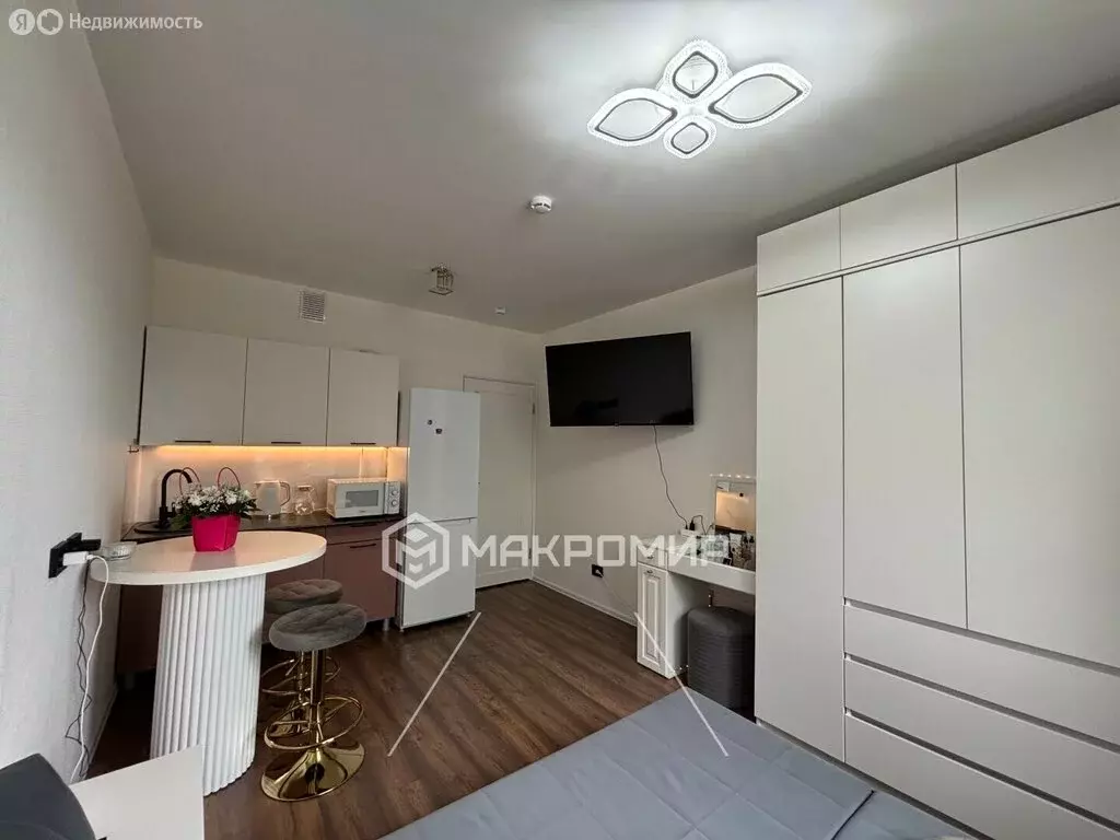 Квартира-студия: Санкт-Петербург, Муринская дорога, 31к1 (20 м) - Фото 2