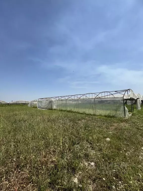 Офис в Кабардино-Балкария, Нальчик Прохладненское ш. (70 м) - Фото 2