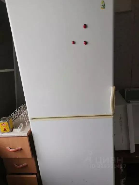 1-к кв. Мордовия, Саранск Пионерская ул., 6 (19.0 м) - Фото 2