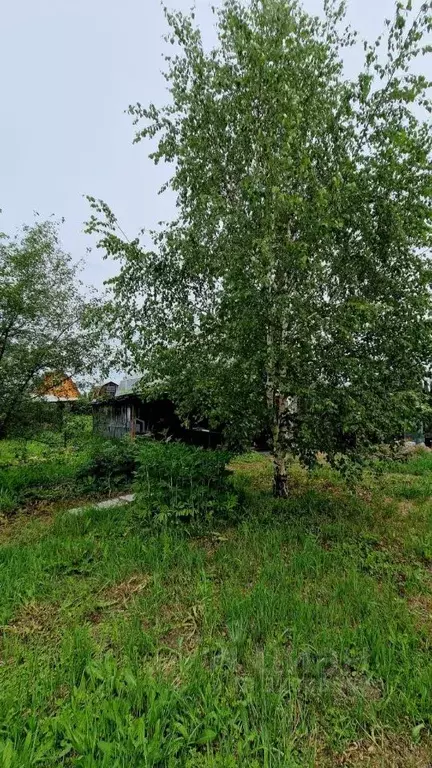 Участок в Иркутская область, Усольский район, Железнодорожное с/пос, ... - Фото 2