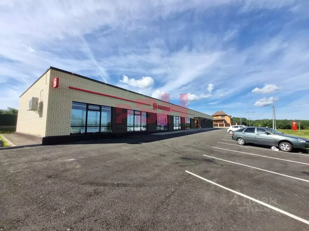 Торговая площадь в Ярославская область, Ярославский муниципальный ... - Фото 1