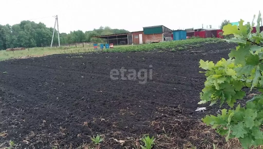 Дом в Тюменская область, Нижнетавдинский муниципальный округ, д. ... - Фото 0