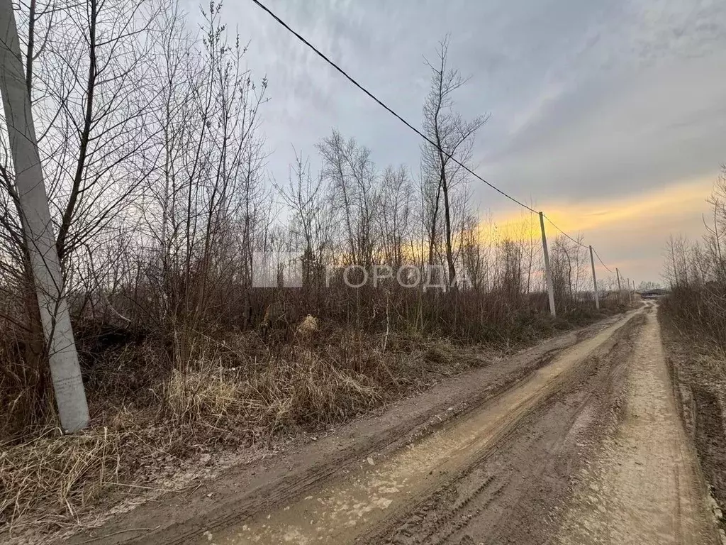 Участок в Новосибирская область, Новосибирский район, Кубовинский ... - Фото 1