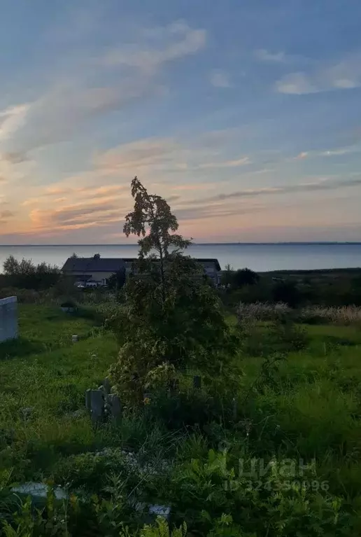 Участок в Калининградская область, Гурьевский муниципальный округ, ... - Фото 2