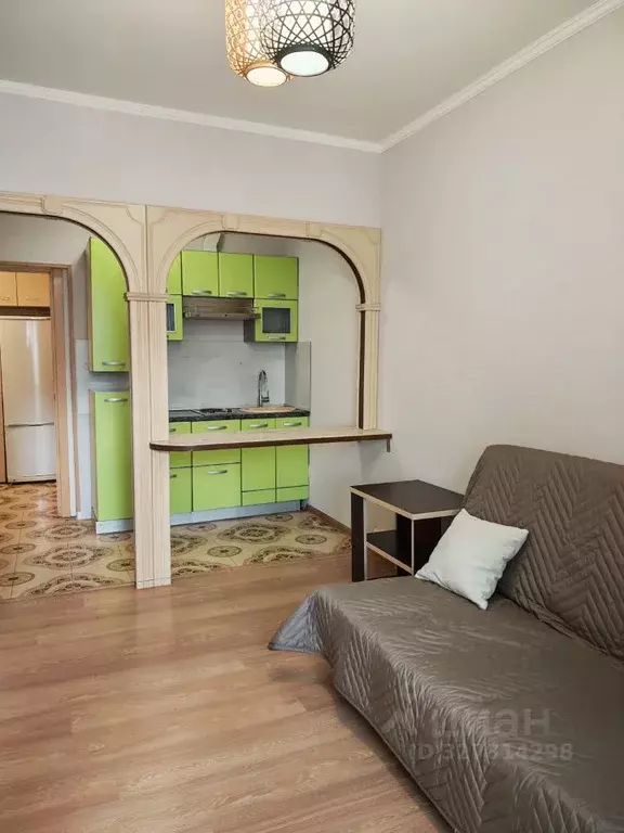 Студия Московская область, Ленинский городской округ, Лопатино пгт ул. ... - Фото 2