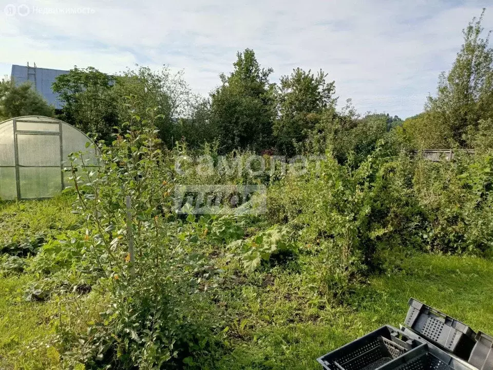 Дом в Завьяловский район, деревня Коньки, 5 (40 м) - Фото 2