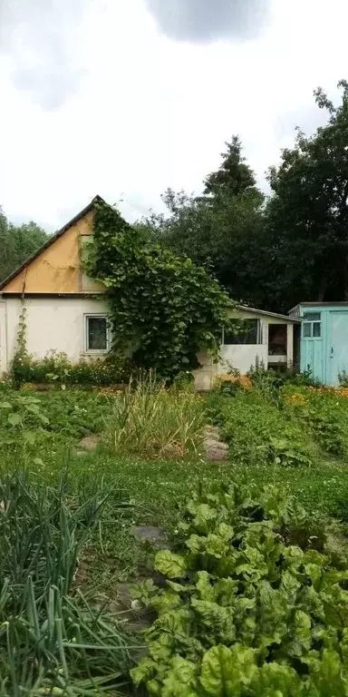 Дом в Тульская область, Богородицк Горный пер. (55 м) - Фото 2