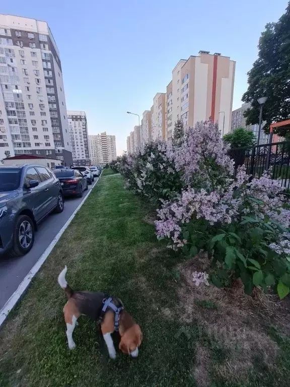 1-к кв. Пензенская область, Пенза ул. Мира, 44Г (47.0 м) - Фото 0