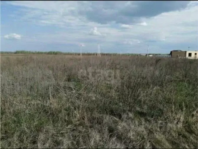 Участок в Липецкая область, Липецк Радужный кп,  (12.0 сот.) - Фото 2