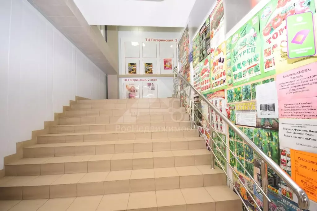 Офис в Владимирская область, Кольчугино ул. Гагарина, 31 (50 м) - Фото 2