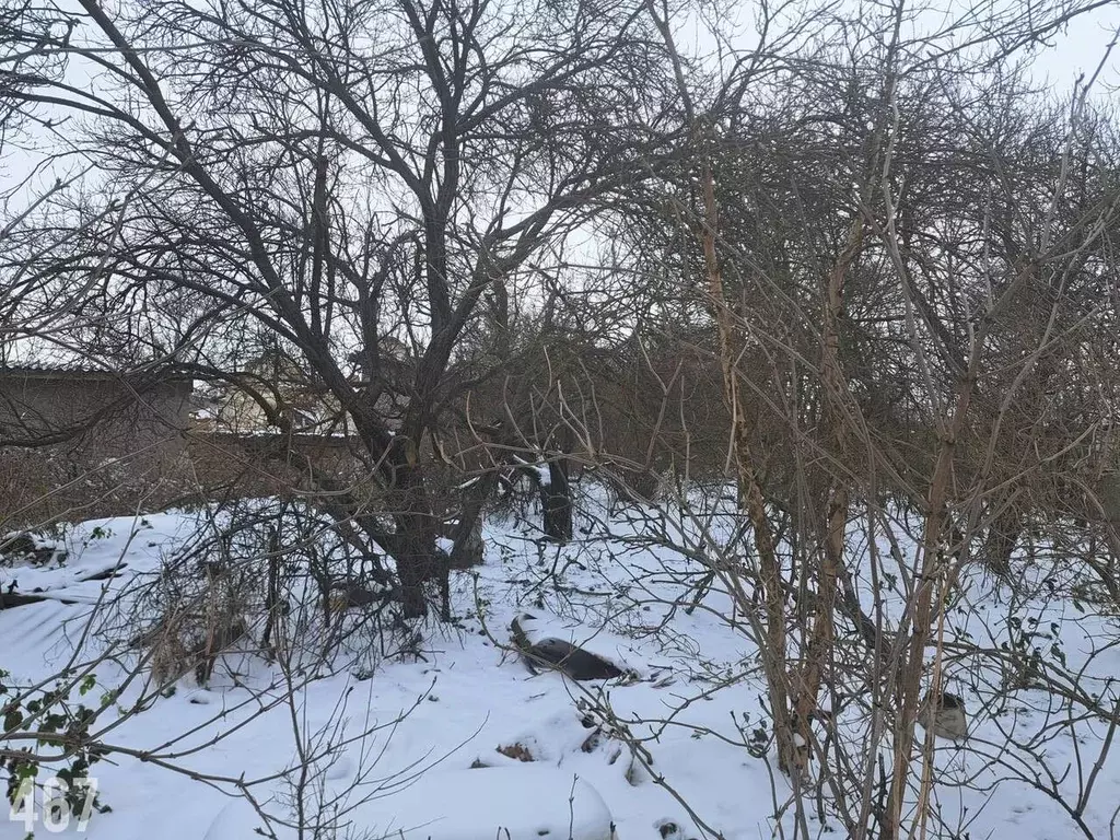 Участок в Крым, Симферопольский район, с. Укромное ул. Салгирная, 39 ... - Фото 1