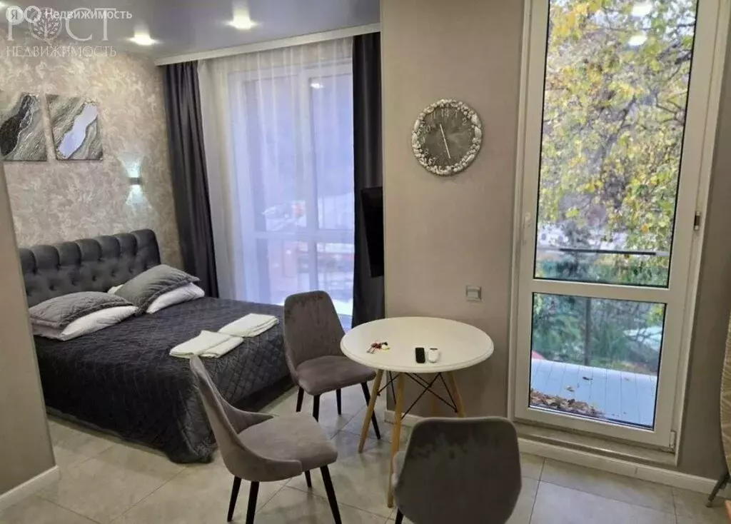 Квартира-студия: Сочи, Виноградная улица, 219с1 (25.4 м) - Фото 0