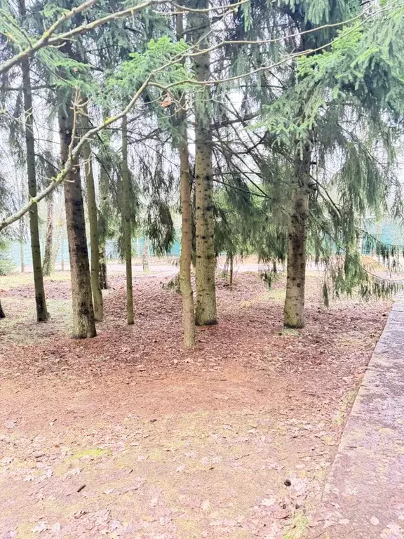 Участок в Московская область, Одинцовский городской округ, Жаворонок ... - Фото 2