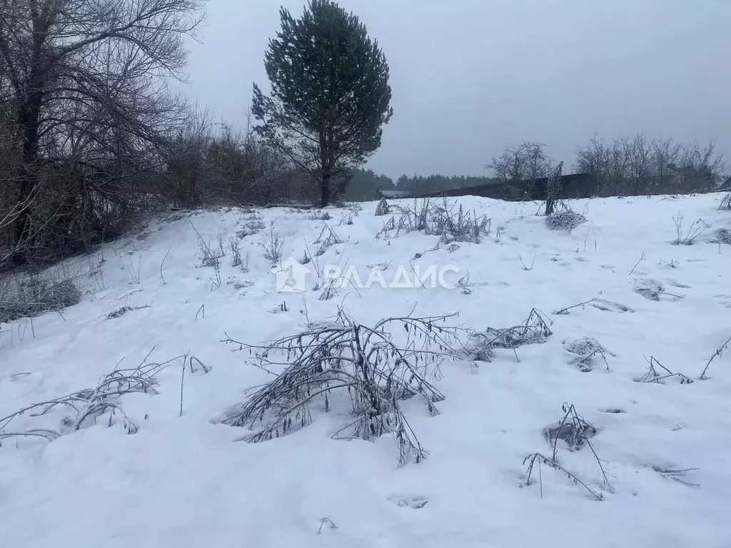 Участок в Пензенская область, Бессоновский район, пос. Подлесный  ... - Фото 1