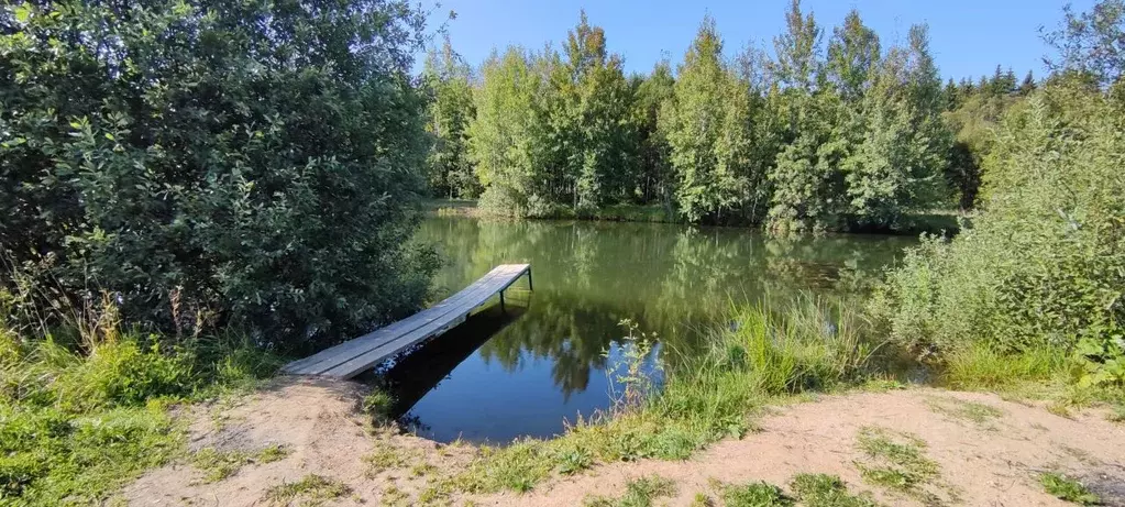 Участок в Московская область, Сергиево-Посадский городской округ, д. ... - Фото 0