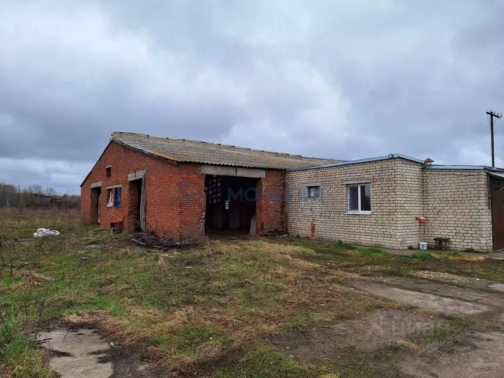 Участок в Нижегородская область, Бор городской округ, д. Княжево  ... - Фото 0