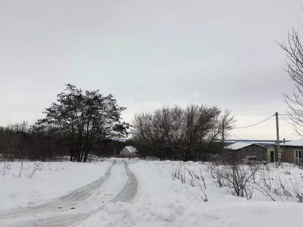 Участок в Курская область, Курский район, Щетинский сельсовет, д. ... - Фото 1