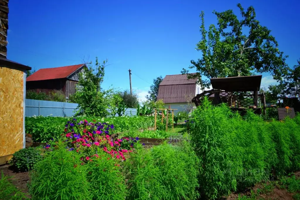 Дом в Башкортостан, Уфимский район, Зубовский сельсовет, Ивушка СНТ  ... - Фото 1