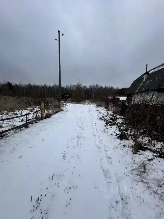 Участок в Свердловская область, Кушва Лесная поляна КС,  (5.5 сот.) - Фото 2