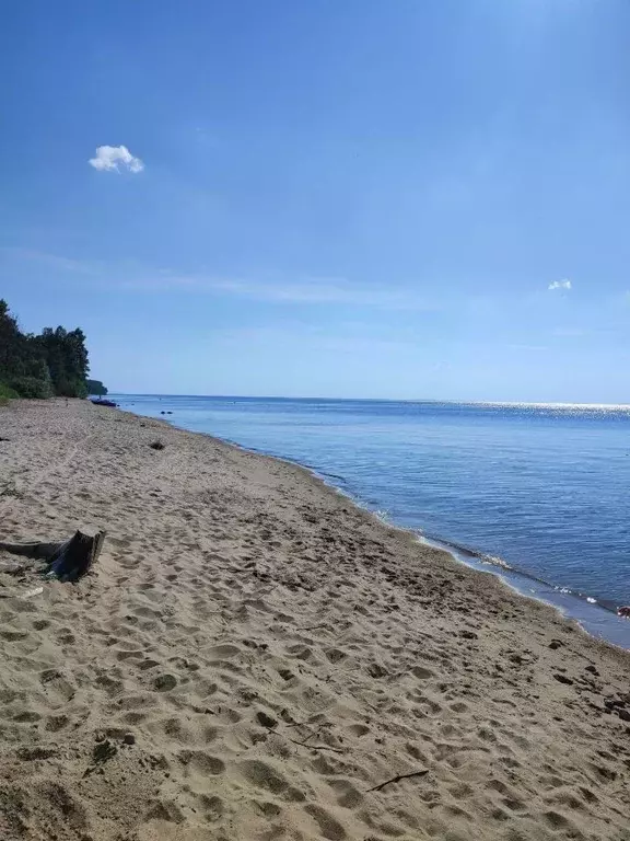 Участок в Ярославская область, Рыбинский муниципальный округ, д. ... - Фото 2
