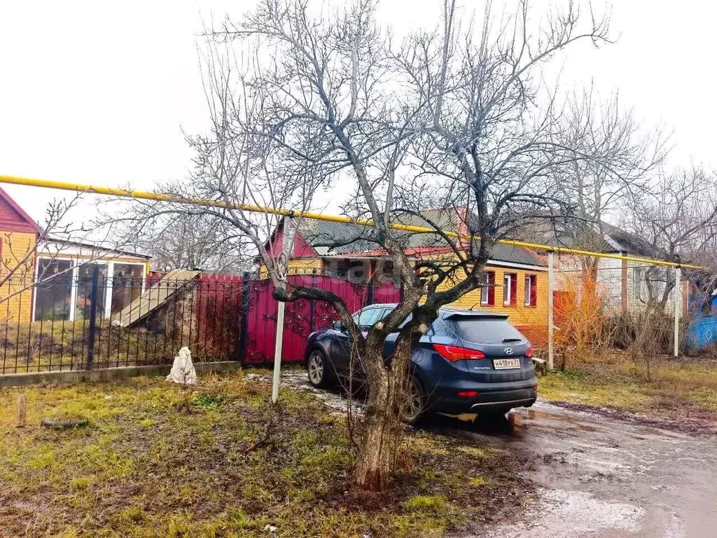 Дом в Белгородская область, Новооскольский муниципальный округ, с. ... - Фото 1