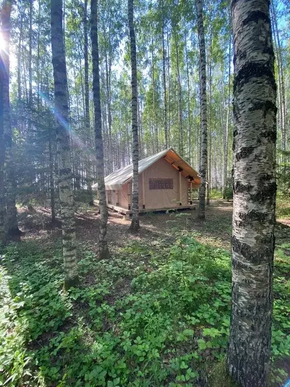 Дом в Нижегородская область, Нижний Новгород Волжская ул., 15 (24 м) - Фото 2