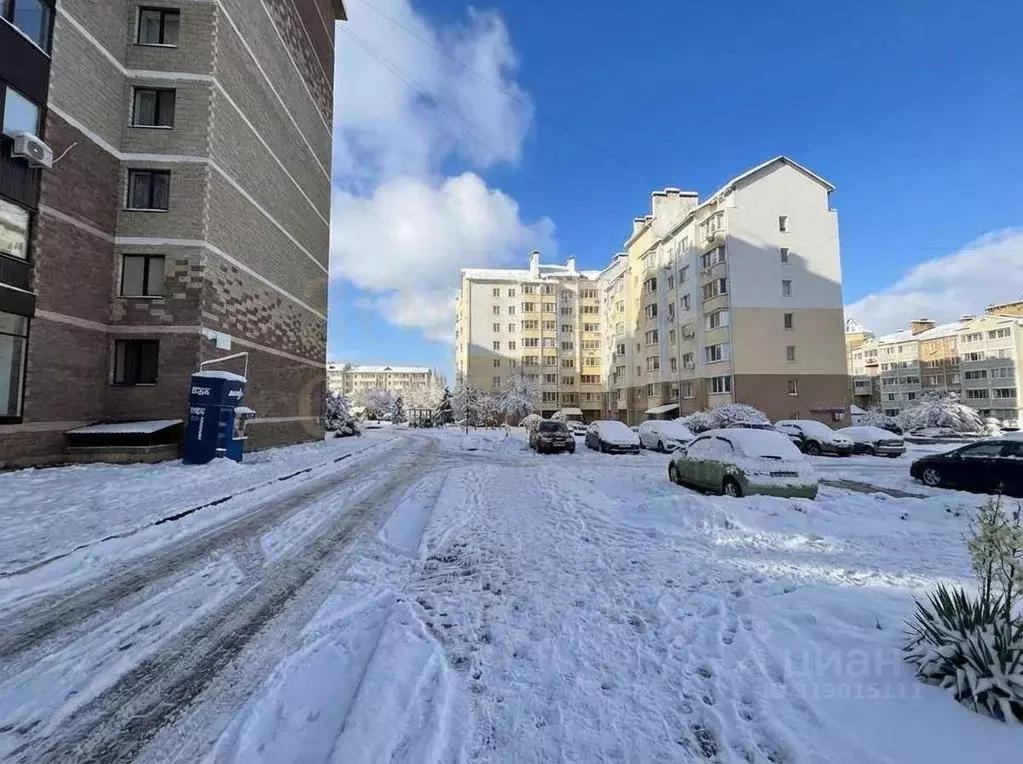 Торговая площадь в Белгородская область, Белгородский район, Дубовское ... - Фото 2