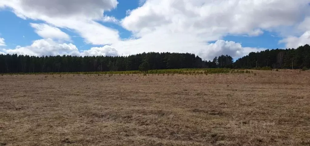 Участок в Иркутская область, Иркутский муниципальный округ, д. ... - Фото 1