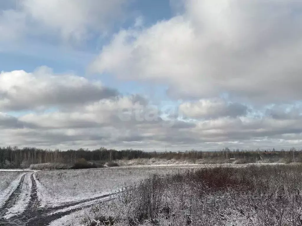 Участок в Мордовия, Саранск Буревестник садоводческое товарищество,  ... - Фото 1