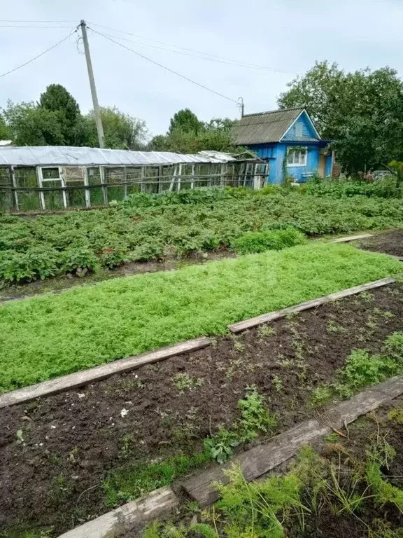 Участок в Марий Эл, Медведевский район, Сидоровское с/пос, Дружба СНТ, ... - Фото 1