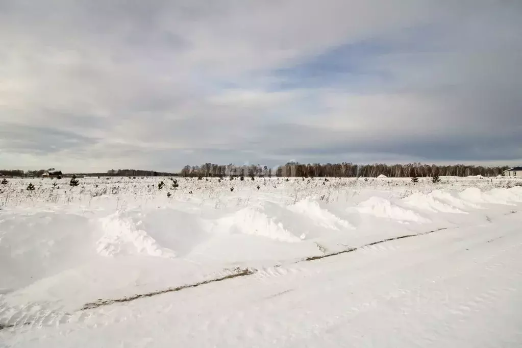 Участок в Тюменская область, Тюменский район, Новокаменский кп  (8.1 ... - Фото 1