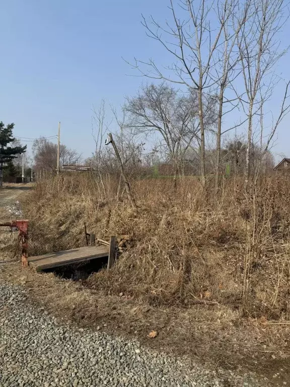 Участок в Приморский край, Артемовский городской округ, с. Кролевцы ... - Фото 1