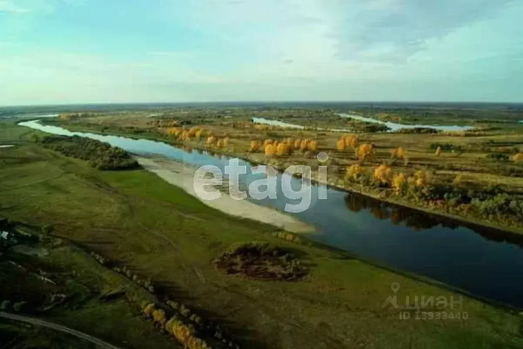 Якуши тюмень. Якуши фото озера Тюмень. Якуши 2 фото озера Тюмень.