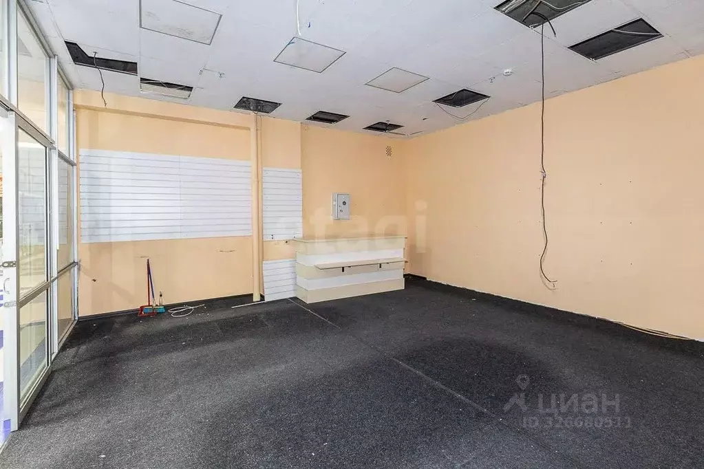 Торговая площадь в Амурская область, Благовещенск ул. 50 лет Октября, ... - Фото 2