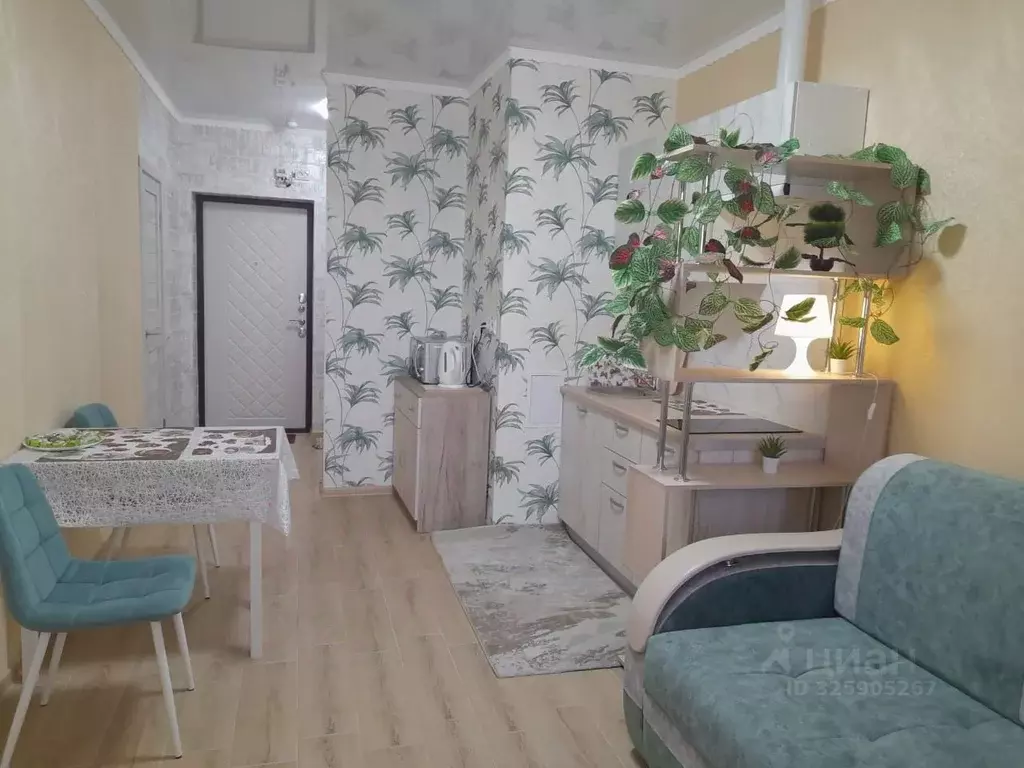 Студия Краснодарский край, Новороссийск Цемдолина тер., ул. Красина, ... - Фото 1