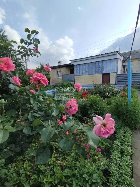 3-к кв. Липецкая область, Липецк ул. Энтузиастов, 3 (67.3 м) - Фото 0