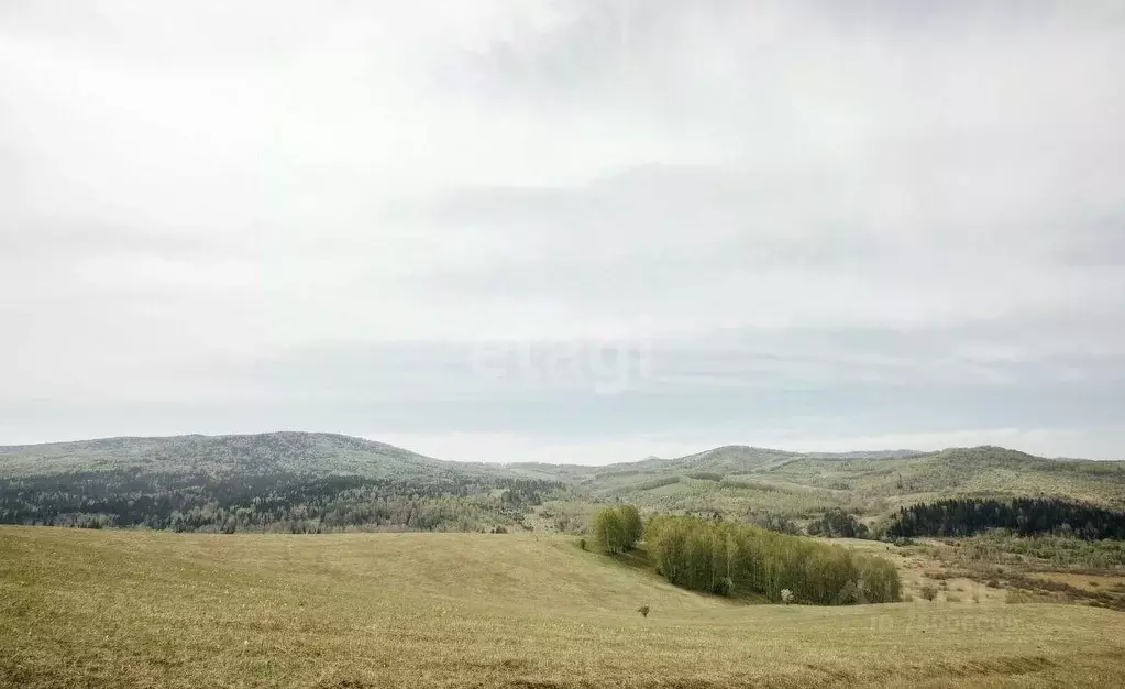 Купить Участок В Республике Алтай Майминский Район