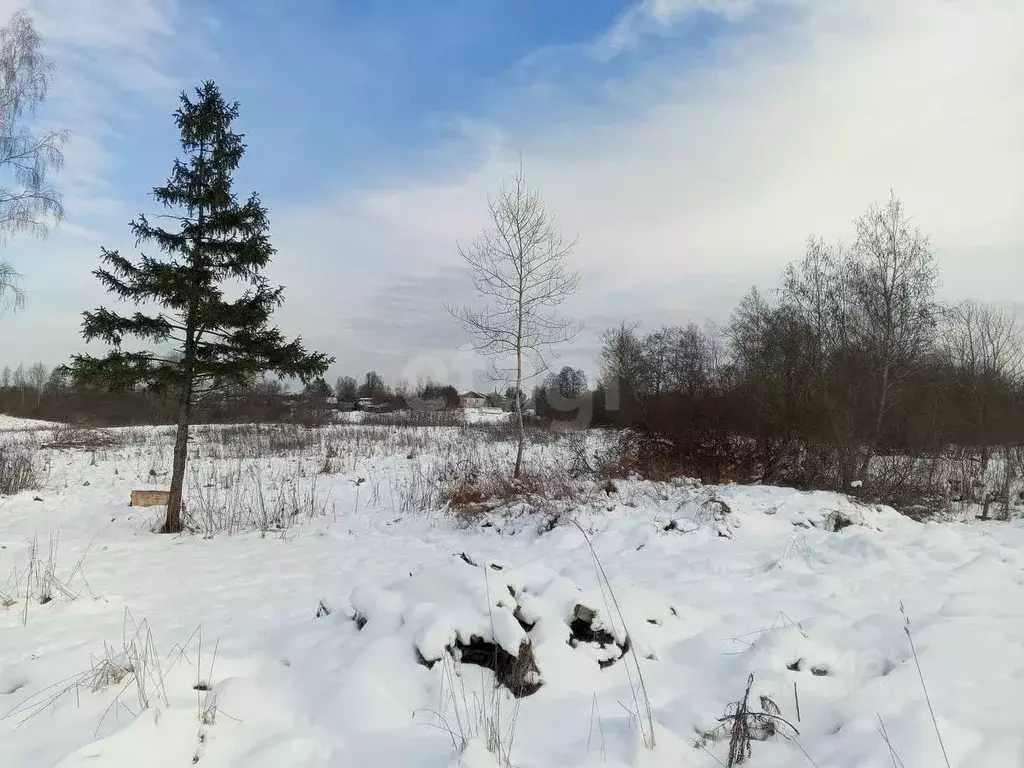 Участок в Псковская область, Островский район, Воронцовская волость, ... - Фото 0