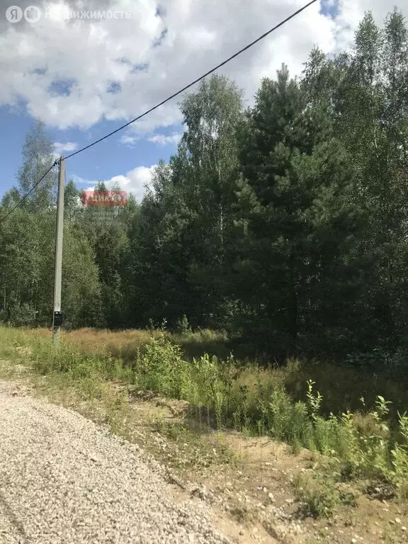 участок в спасский район, панинское сельское поселение, село выползово . - Фото 0