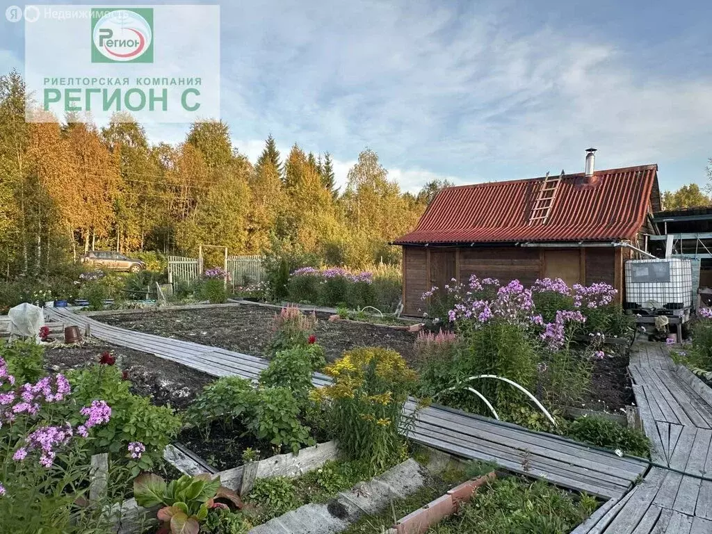 Дом в Архангельская область, Приморский муниципальный округ, садовое ... - Фото 1